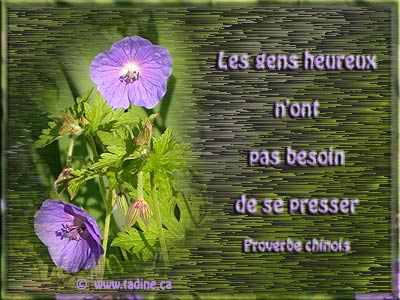 Bonjour Mes amis(ies)